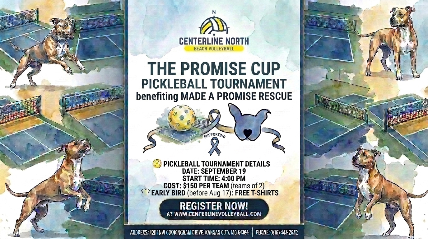 Promise Cup